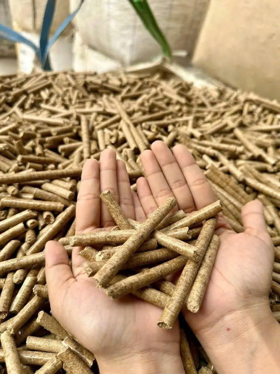 Rice Husk Pellets — image 1