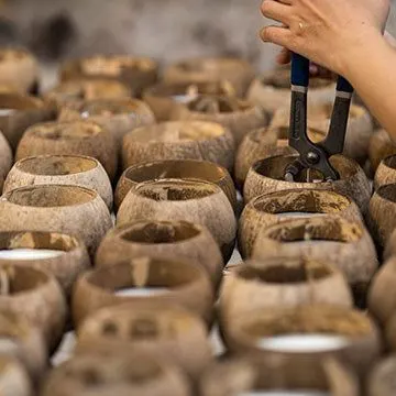 Coconut Candles thumbnail 6