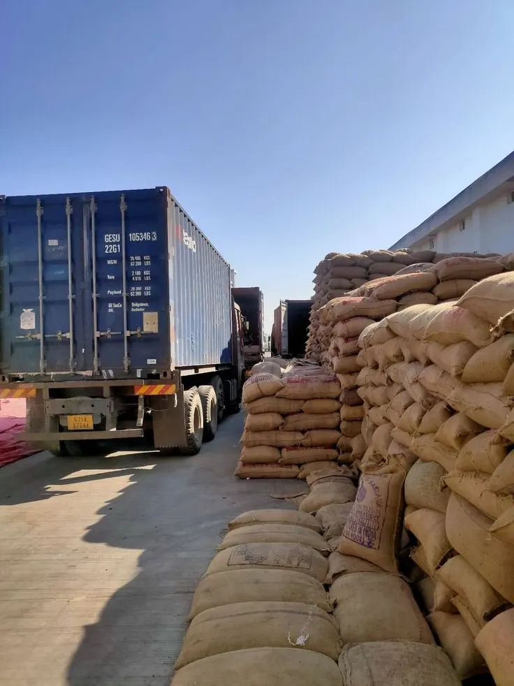 Container Loading